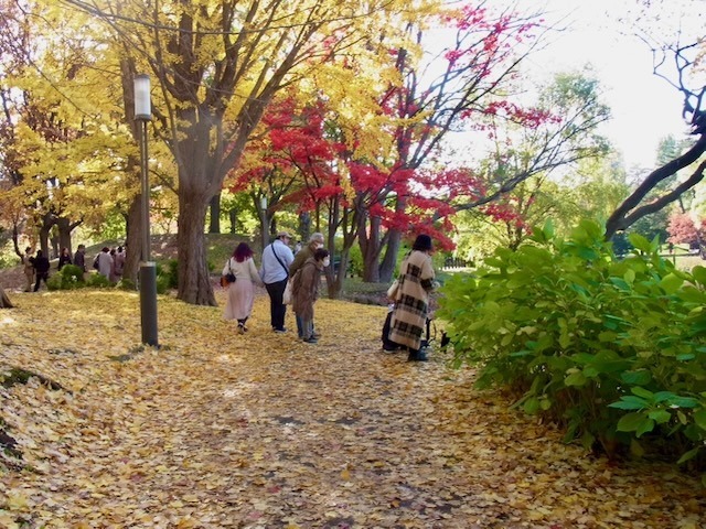 231102otiba10.jpeg