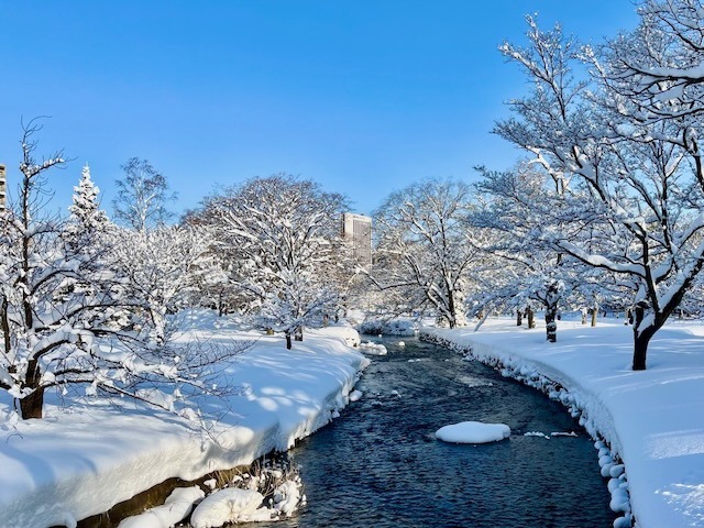 240223snow3.jpeg