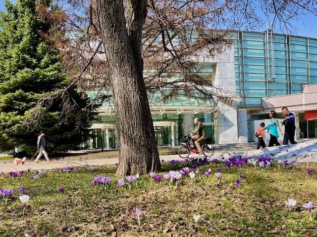 240415hana8.jpeg