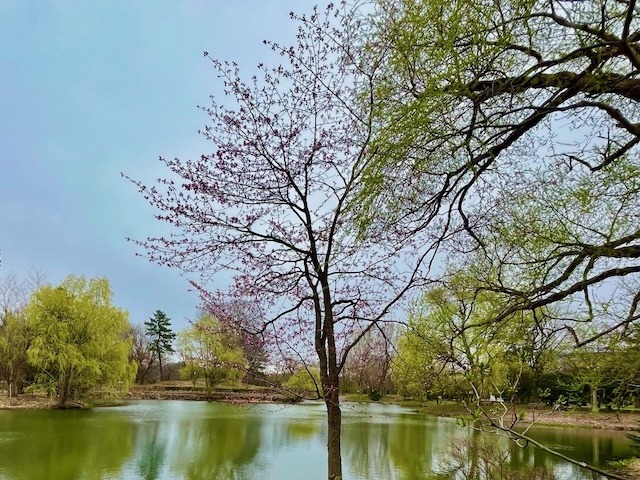 240419kaika10.jpeg