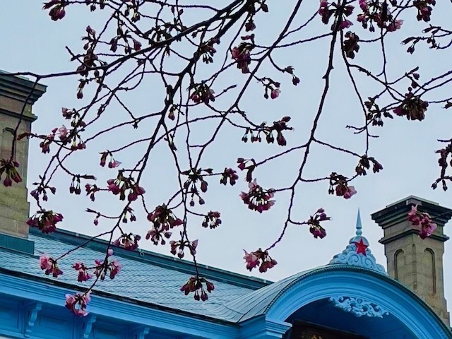 240419kaika6.jpeg