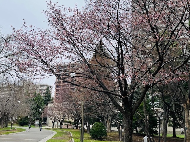 240419kaika8.jpeg