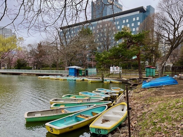 240420boats1.jpeg