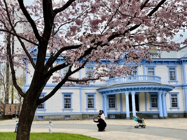 240423sakura1.jpeg