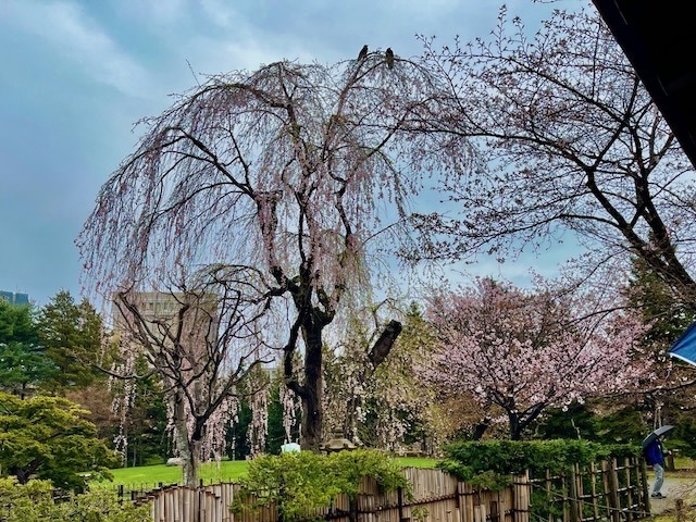 240425kaien6.jpeg