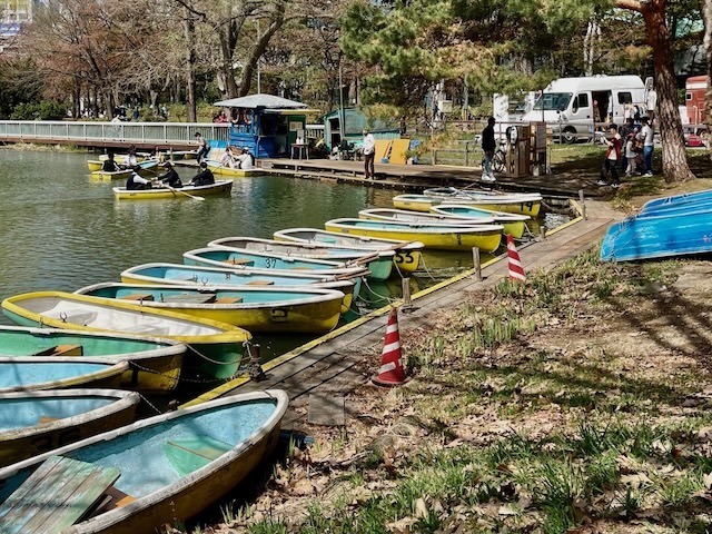 240427boats3.jpeg