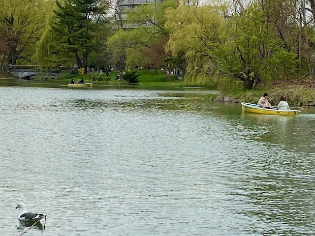 240428boats9.jpeg