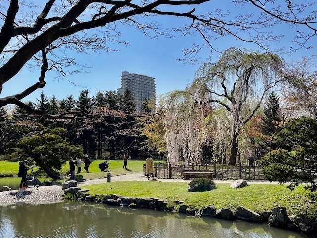 240429sakura14.jpeg