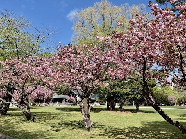 240509gokokuyae3.jpeg