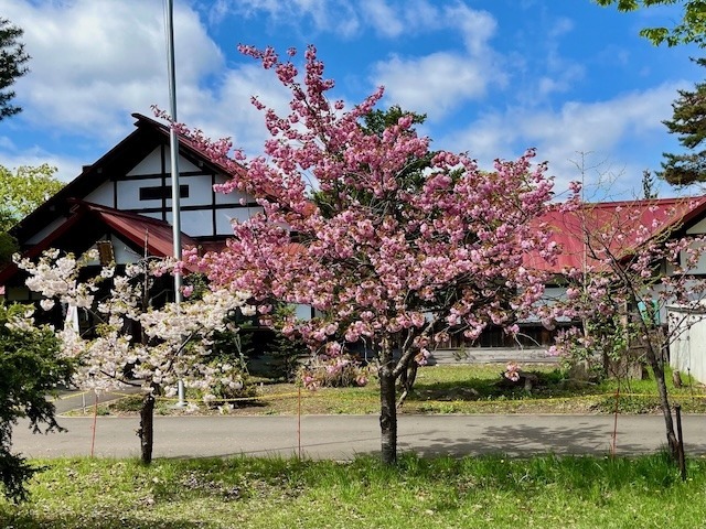 240509gokokuyae4.jpeg