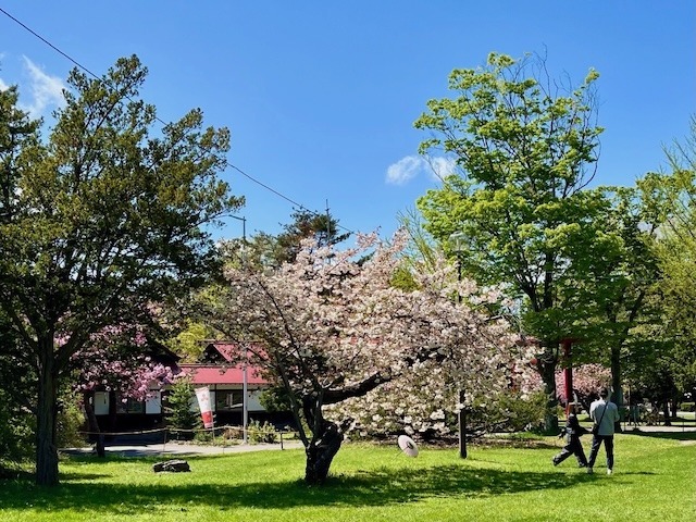 240509gokokuyae5.jpeg