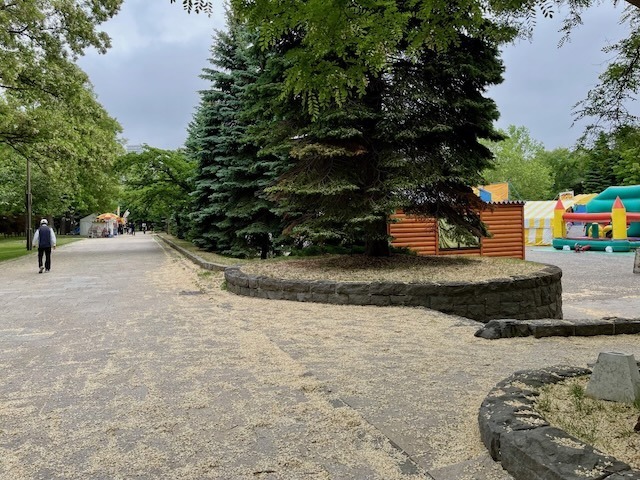 240614maturi20.jpeg