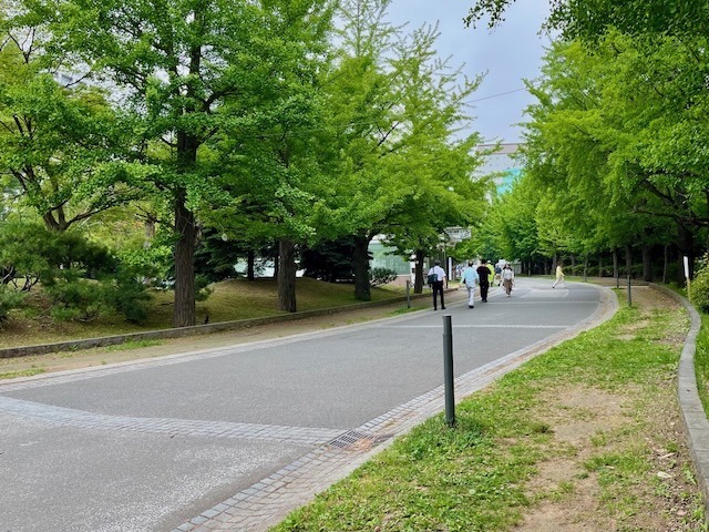 240614maturi9.jpeg