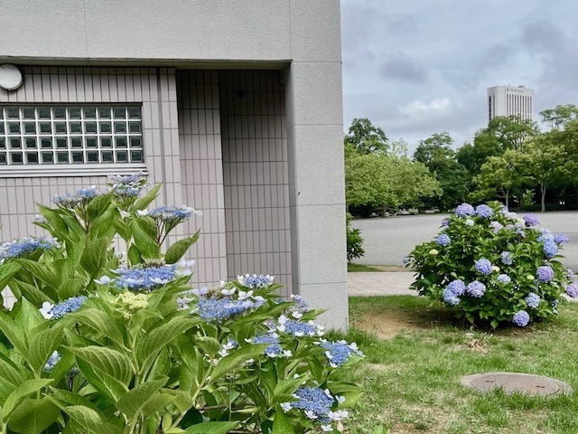 240805aug2.jpeg