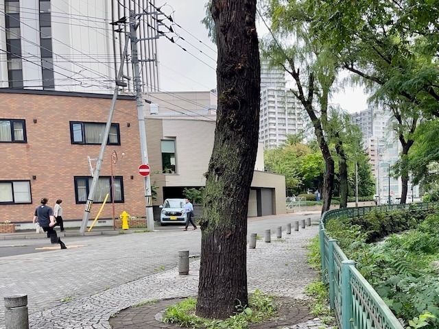 240828aug32.jpeg