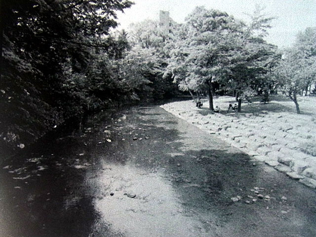 010817kamokamogawa3.jpg