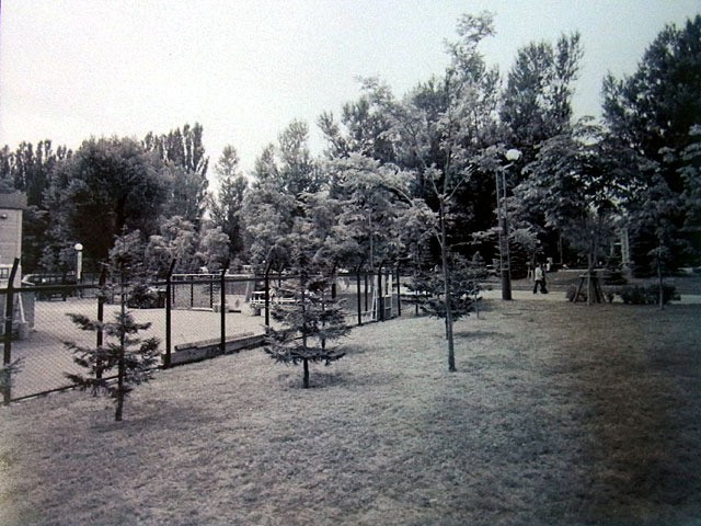 010817poolato.jpg