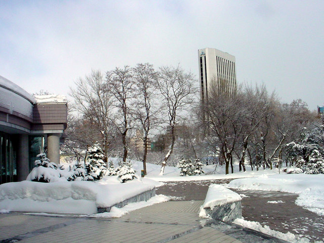 011231kitara.jpg
