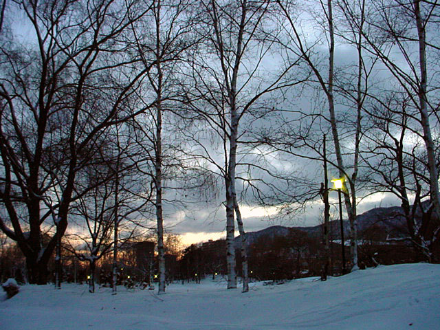 020106sirakaba.jpg