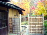 DSC088971.jpg
