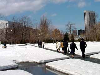 JIYU0411.JPG