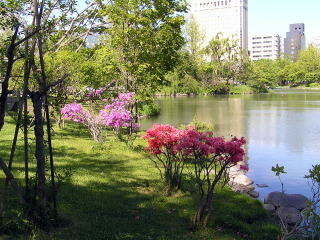 P10100211.jpg