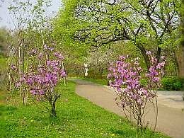 a030516tutuji.jpg