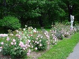 a030704kirei.jpg