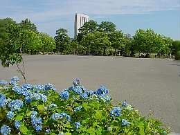 a030725hiroba.jpg