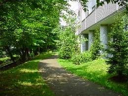 a030815uramiti.jpg