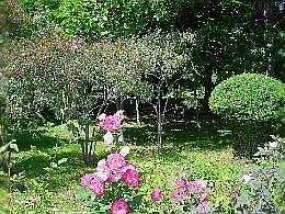 a030822hana.jpg