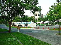 a030829marason.jpg
