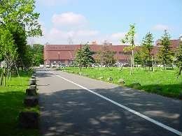 a030829taiiku.jpg