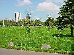 a030829zenkei.jpg