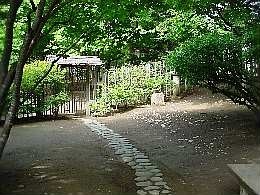 a030912isi.jpg