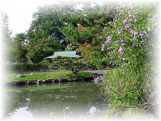 a030912mukuge1.jpg