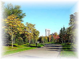 a031010ahsah1.jpg