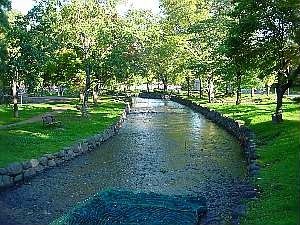 a031010kamokamo.jpg