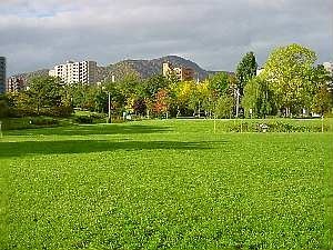 a031017sibafu.jpg