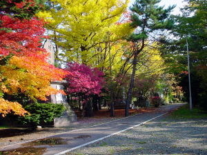 a031025gokoku1.jpg