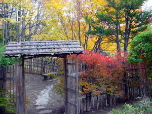 a031030hassoan1.jpg