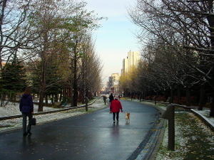a031115yukigate1.jpg