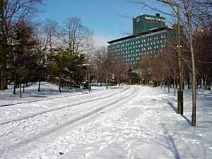 a031209doro.jpg
