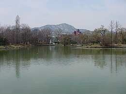 a0418moiwa.jpg