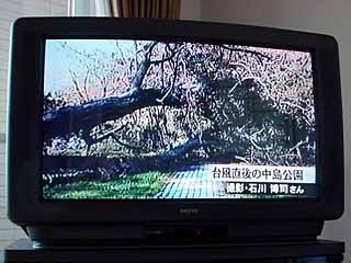 a050115touboku.jpg