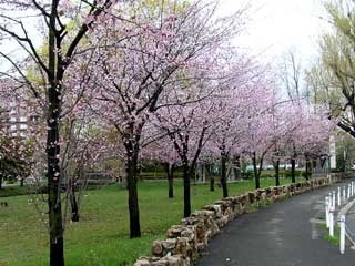 a070507gyoukei.jpg