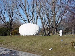 echo040404.jpg