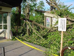 eki0909m.jpg