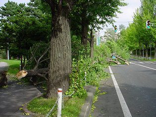 gyoukeiSS.jpg