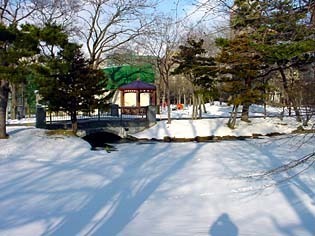 hasiW.jpg